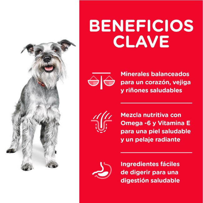 Hills Adulto 7+ Small Paws 2 Kg - Alimento Razas Pequeñas y Miniatura Science Diet Hills Adulto 7+ Small Paws 2 Kg - Alimento Razas Pequeñas y Miniatura Science Diet